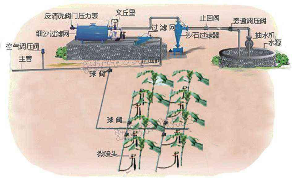 皇家国际·(中国区)有限公司官网